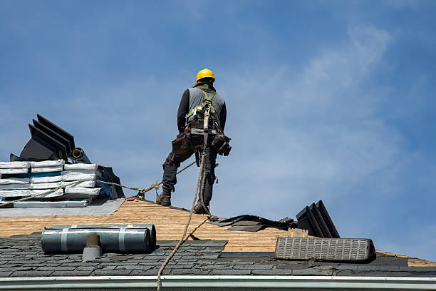 Professional Flat Roof Repair technician working in Lyons, IL